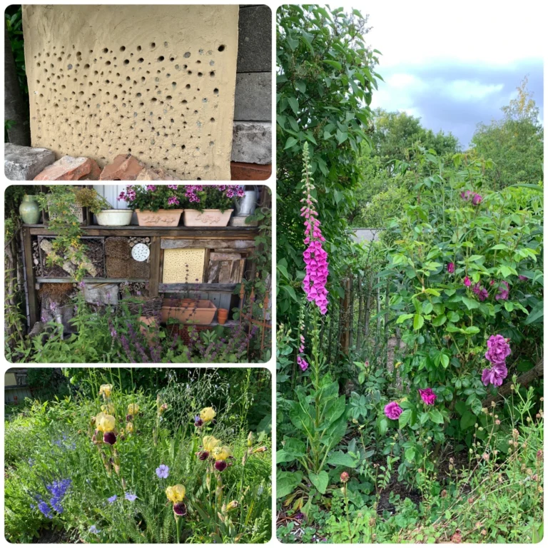 Die Gartensaison beginnt…