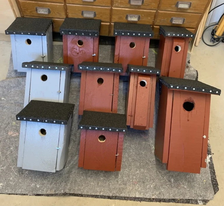 GRÜNE Klein Offenseth-Sparrieshoop unterstützen Nistkästenaktion