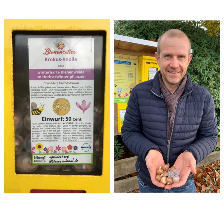 Krokusknollen-Aktion